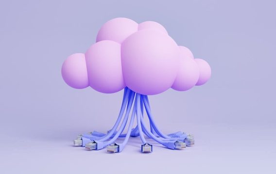 Basic Principles of Cloud Data Storage Security