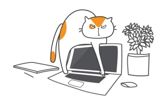Cat on Computer: How to Protect Your PC from Pawsible Damage